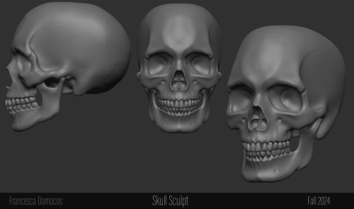 Skull_sculpt_titled